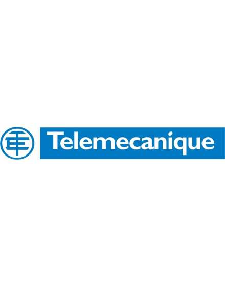 Telemecanique TBXEEP1622 I/O Module